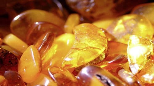 Terra X - Die Bernsteinstraße Bild 3