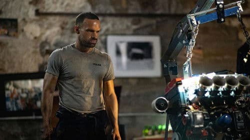 Verirrte Kugel Bild 3