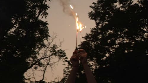 The Wolf Knife Bild 8