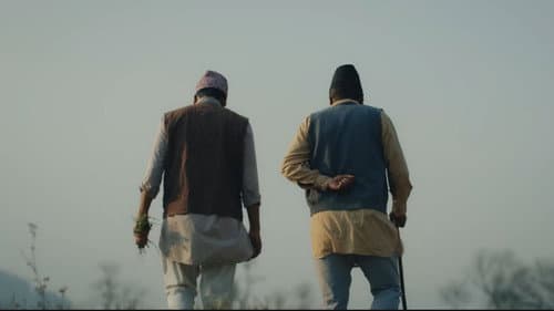 Dhasa Dhala Dhai Bild 5