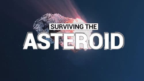 Surviving the Asteroid Bild 4