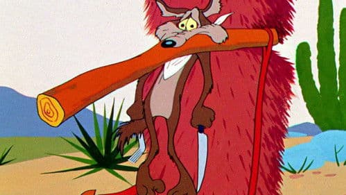 Kein Mittagessen für Kojote Bild 5