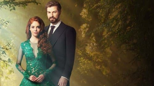 Bir Mucize Olsun Bild 1