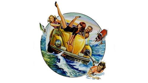 Ein Käfer gibt Vollgas Bild 1