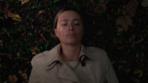 დასაწყისი Bild 2