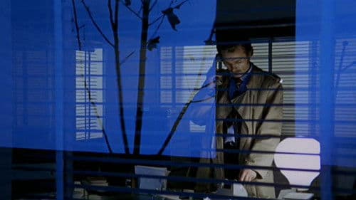 Ein schwarzer Tag für den Widder Bild 3