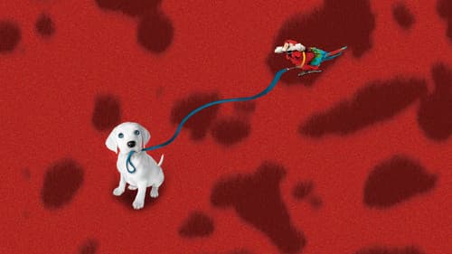 102 Dalmatiner Bild 4