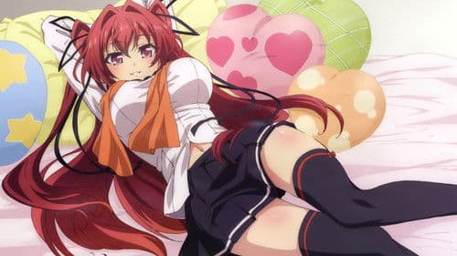 The Testament of Sister New Devil Bild 8