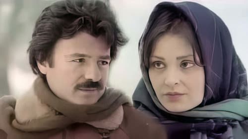 Her Şeyim Sensin Bild 2