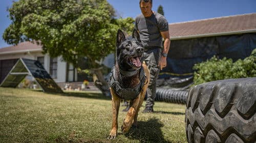 Muzzle: City of Wolves Bild 8