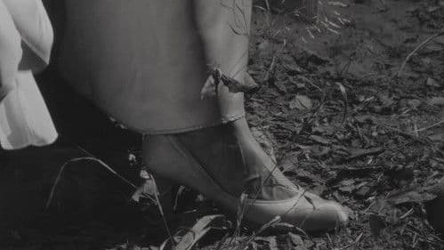 The Toadman of Topanga Bild 1