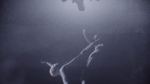 Polia & Blastema Bild 1