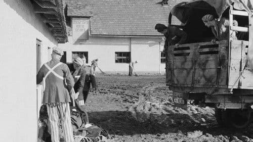 Der Verschlag Bild 2