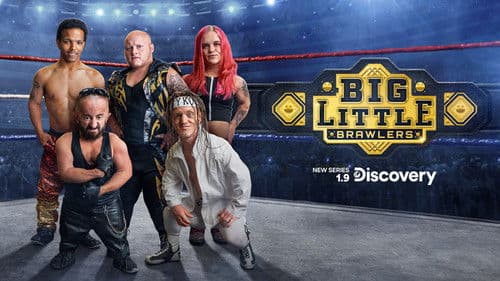 Big Little Brawlers Bild 1