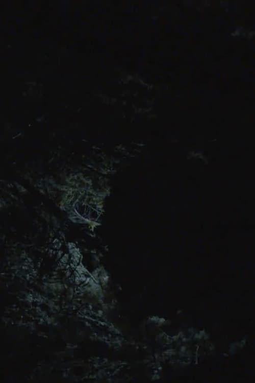 All the Planets in My Heart