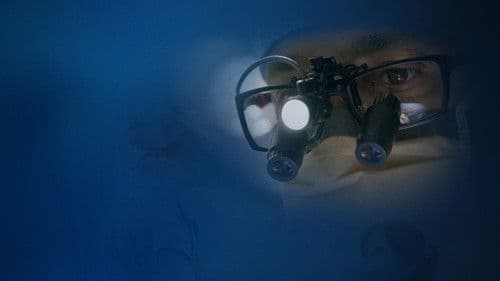 Chirurgie plastique : reconstruire la vie Bild 1