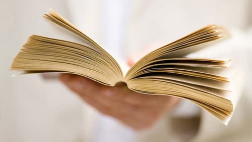 The Beauty of Books Bild 1