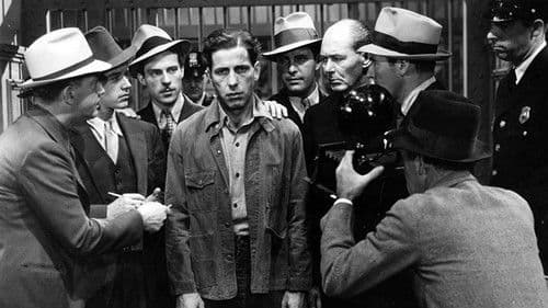 Geheimbund Schwarze Legion Bild 2