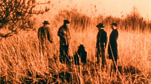 Voorbij, voorbij… Bild 3