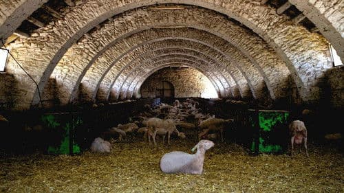 Tous au Larzac Bild 3