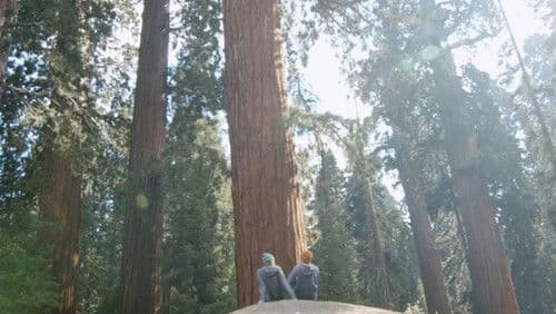 Dear Luke, Love, Me Bild 1