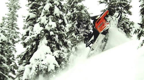 509 Films: Volume 6 Bild 1