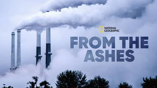 Weg aus der Asche Bild 7