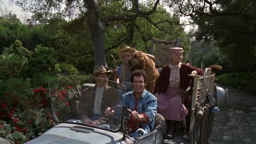 Die Beverly Hillbillies sind los Bild 2