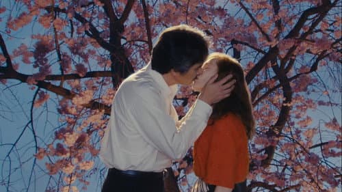 Madame Sidonie in Japan Bild 2