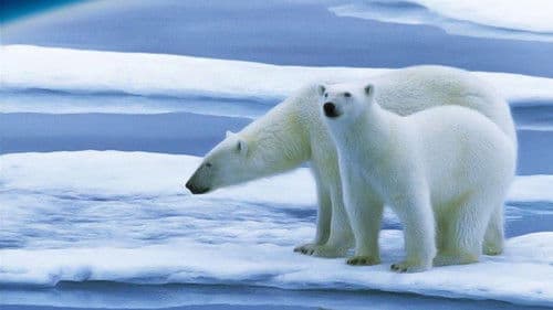 Planet Earth: The Future Bild 1