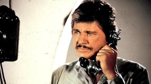 Der Liquidator Bild 1