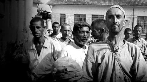 Holocausto Brasileiro Bild 3