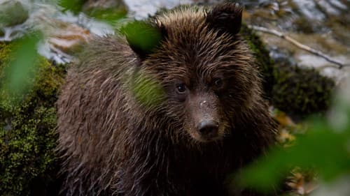 Die Tricks des Überlebens Bild 8