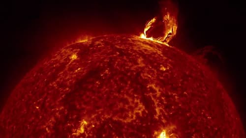 Love Is the Message, the Message Is Death Bild 1