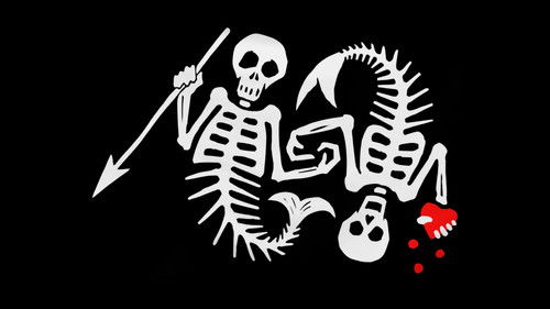 Our Flag Means Death Bild 4