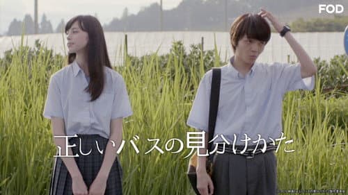 正しいバスの見分けかた Bild 3