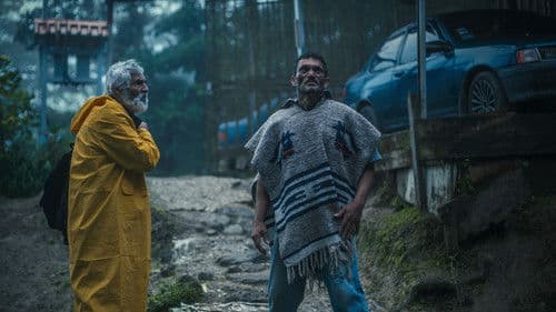 Domingo y la niebla Bild 2