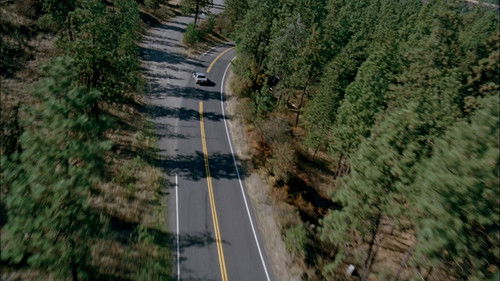 Shadow of Fear Bild 5