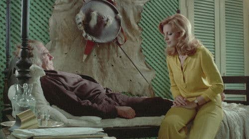 La via dei babbuini Bild 4