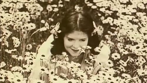 Down to the Sea in Ships Bild 2