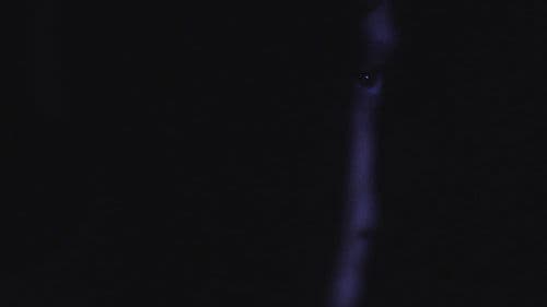 Témele a la Oscuridad: Luz Bild 1