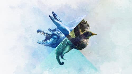 When Whales Walked: Journeys in Deep Time Bild 2