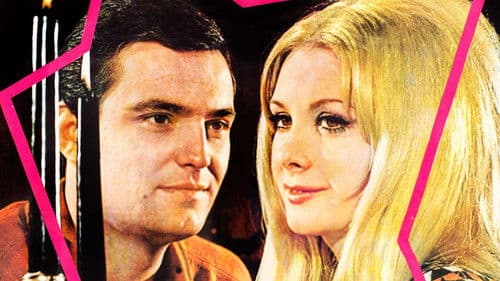 Sabah Yıldızı Bild 1