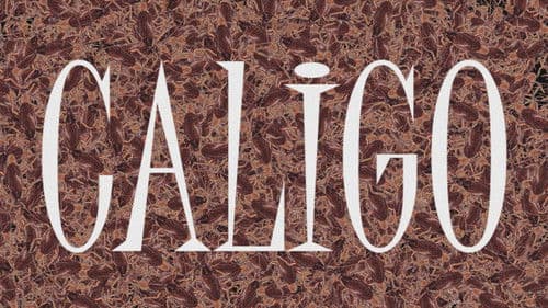 Caligo Bild 1
