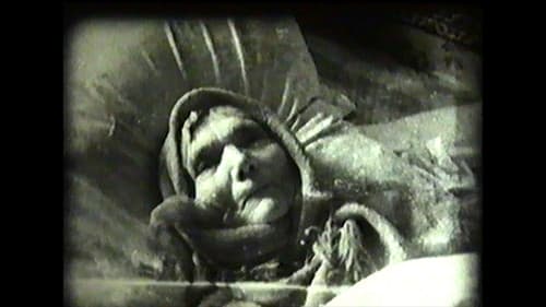 Winter wird nicht sein Bild 2