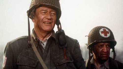 Der längste Tag Bild 1