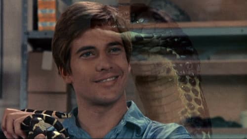 Sssssnake Kobra Bild 5