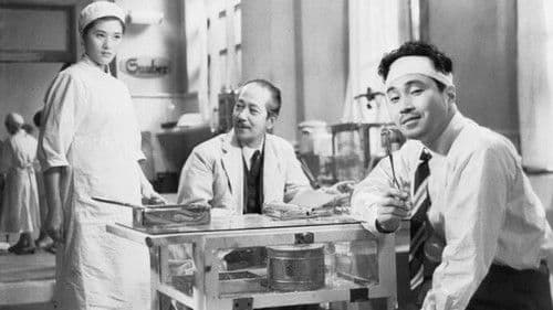 森繁よ何処へ行く Bild 3