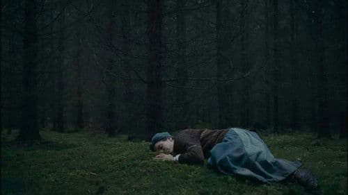 Des Teufels Bad Bild 7