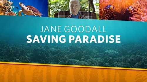 Jane Goodall: Saving Paradise Bild 3